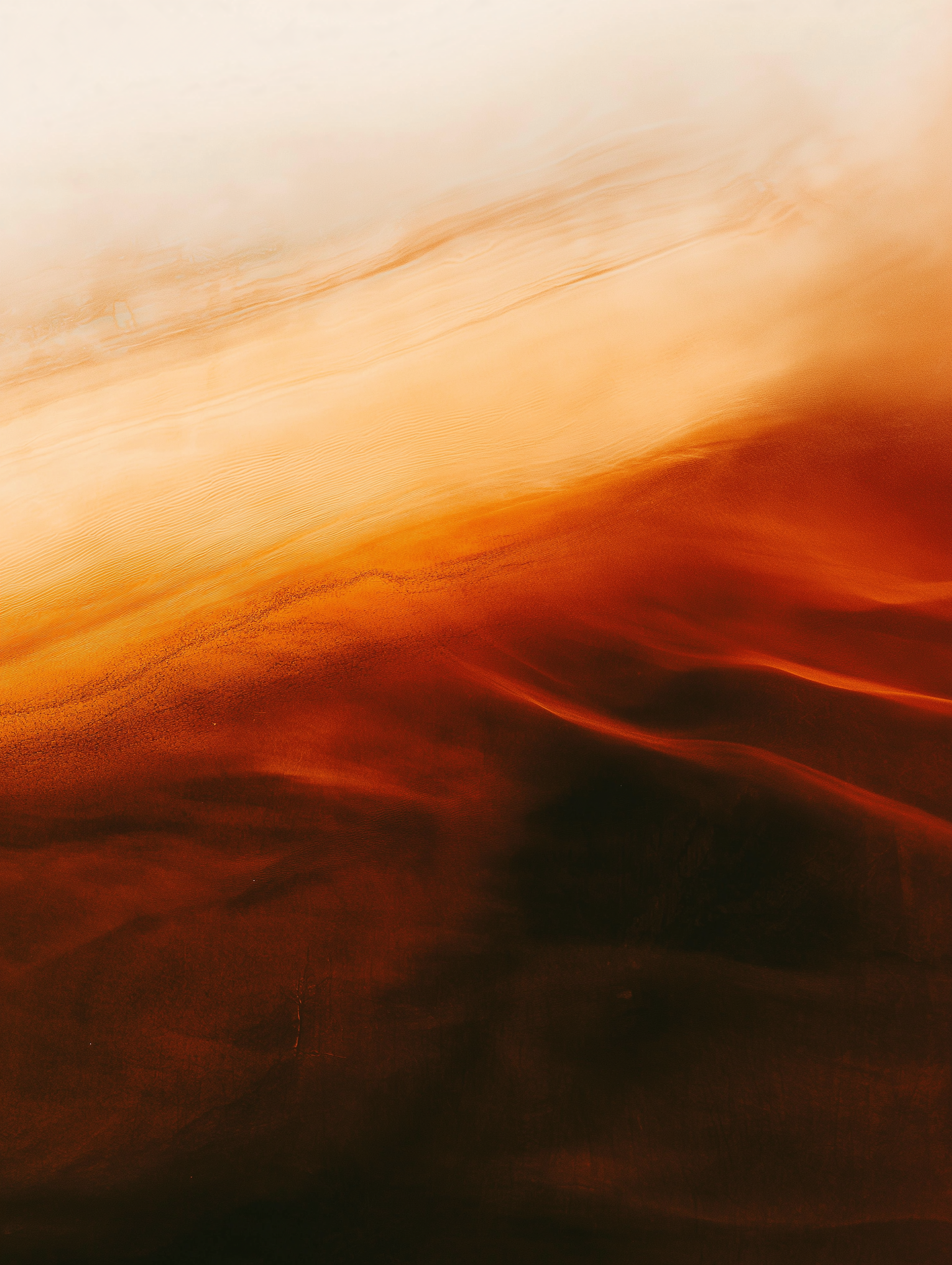 Banner Image1621243260e1af0c20-0